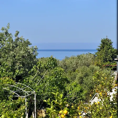 Tzivras & לאסי